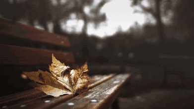微信圖片_20190827165444.gif
